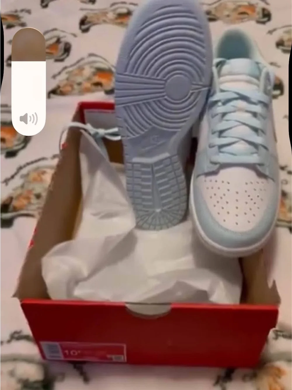 Men’s Nike dunk Low-Top Sneakers in Light Blue and White